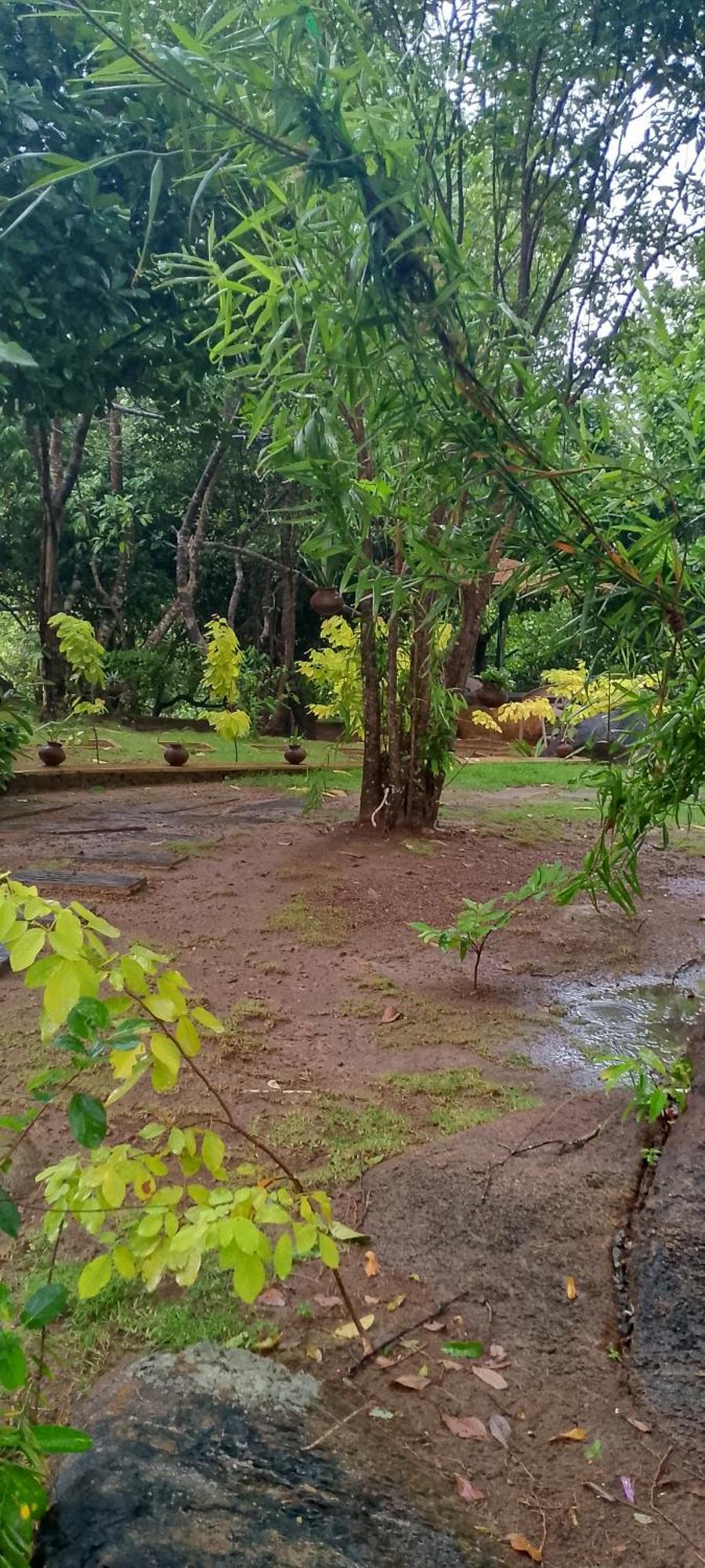 Park Paradise Rumassala Galle Exterior foto